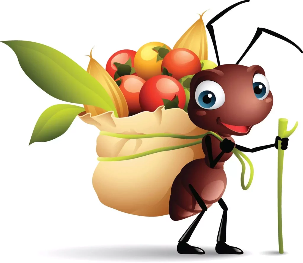 how long does an ant live?